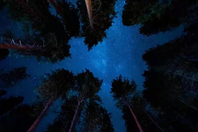 夏枕温席·一梦清凉~平武这个夏日宝藏打卡地，藏着20℃的清爽！（附民宿推荐）