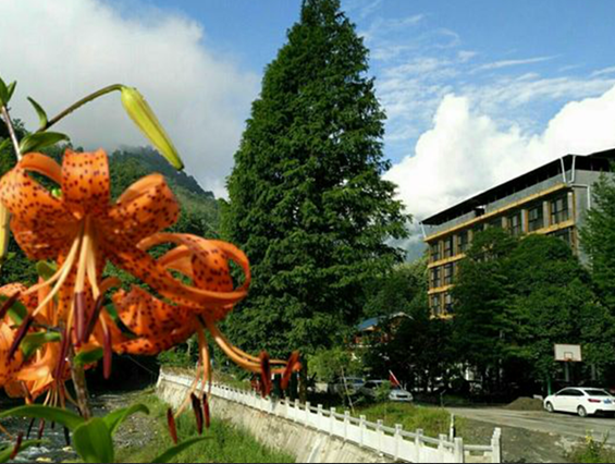 夏枕温席·一梦清凉~平武这个夏日宝藏打卡地，藏着20℃的清爽！（附民宿推荐）