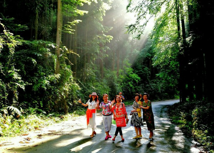 夏枕温席·一梦清凉~平武这个夏日宝藏打卡地，藏着20℃的清爽！（附民宿推荐）