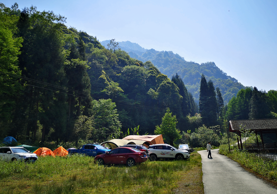 夏枕温席·一梦清凉~平武这个夏日宝藏打卡地，藏着20℃的清爽！（附民宿推荐）