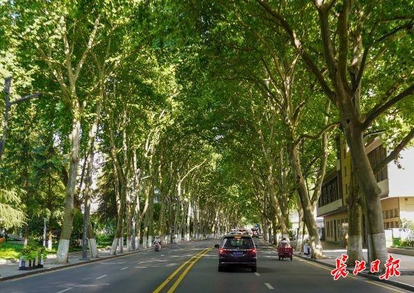 武汉到广州,武汉到广州多少公里路