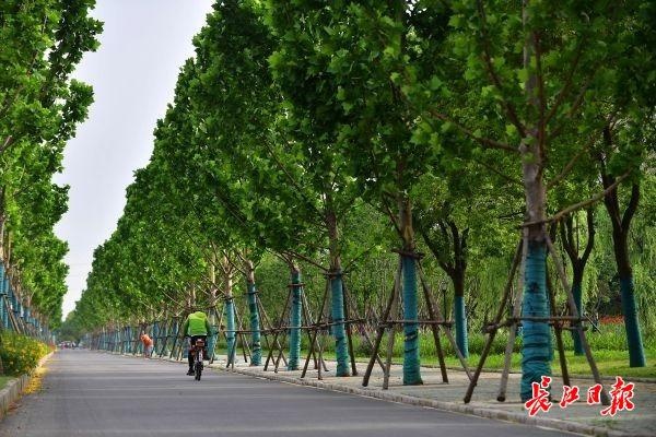 武汉到广州,武汉到广州多少公里路