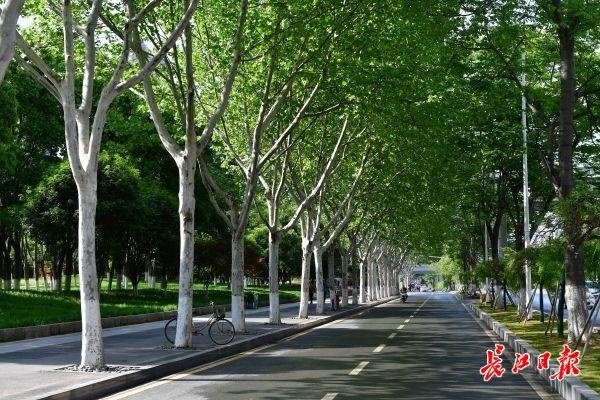 武汉到广州,武汉到广州多少公里路