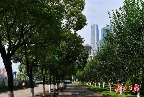 武汉到广州,武汉到广州多少公里路