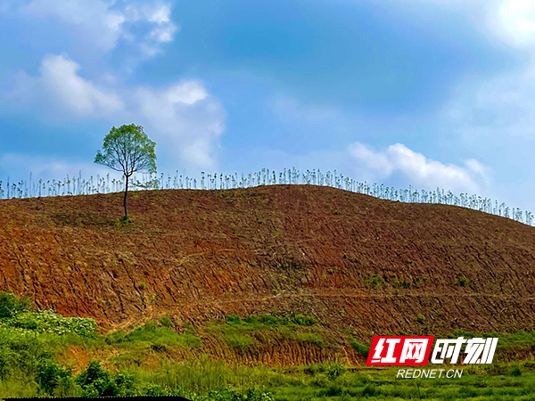 耒阳横山冲：写在乡村振兴大道上的一首绝句