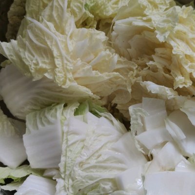 白菜燉粉條,白菜燉粉條的家常做法