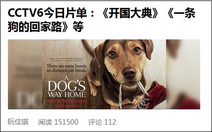 美媒关注CCTV6片单《开国大典》《一条狗的回家路》：可能不是巧合