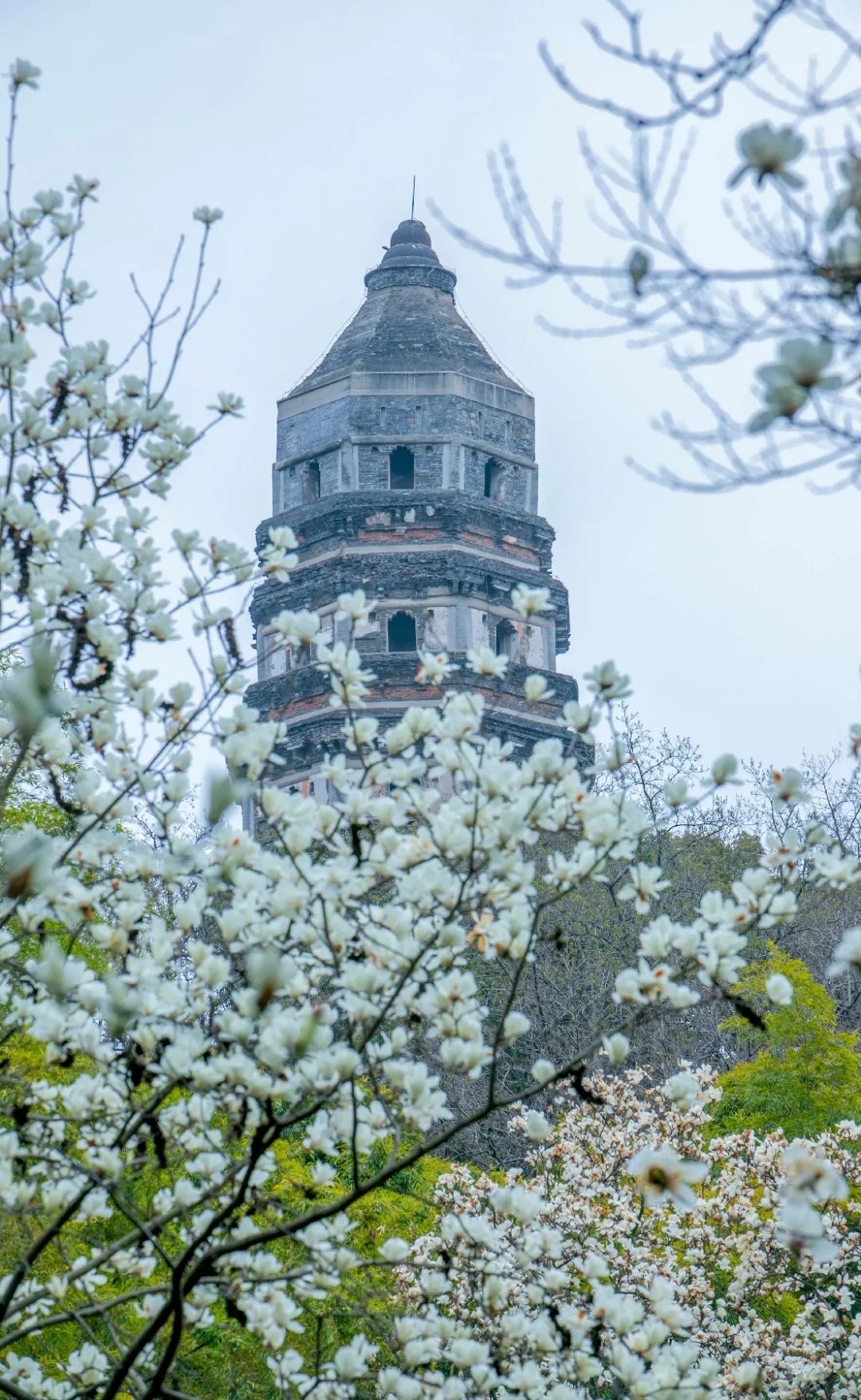 运河十景 | 斜而不倒，屹立千年，走进吴中第一名胜