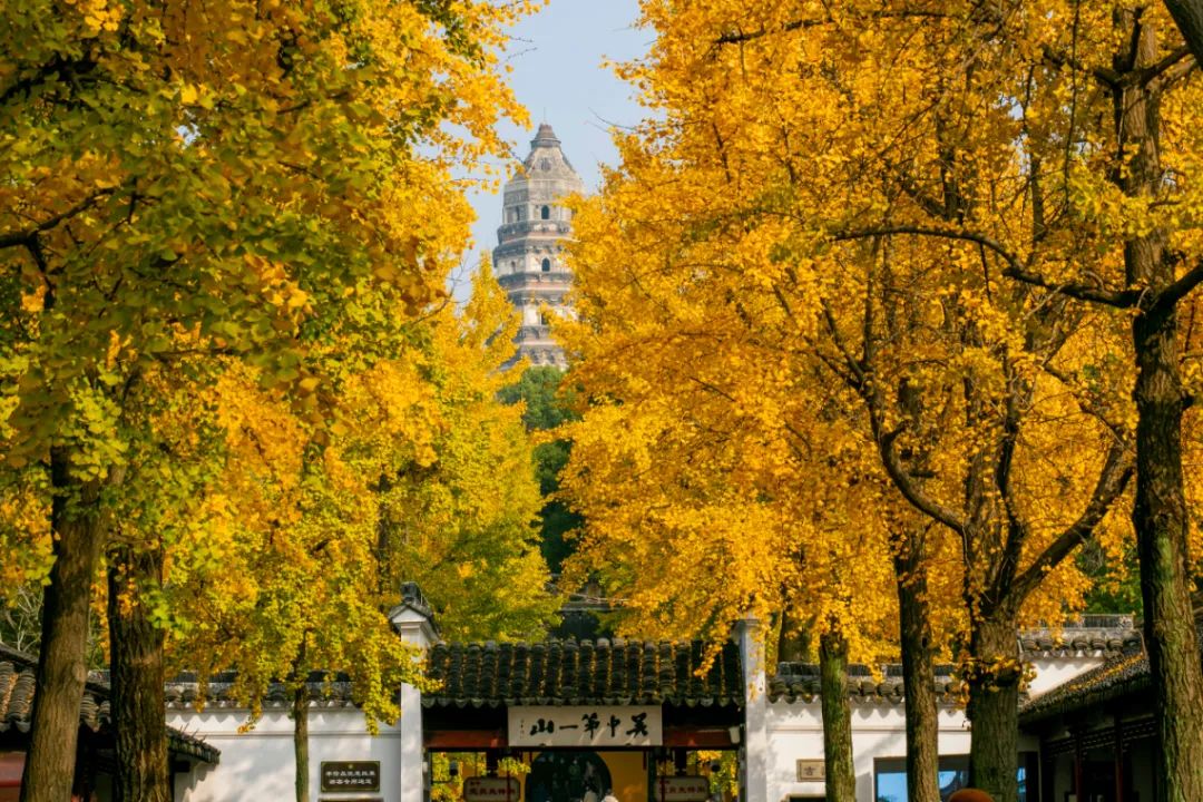 运河十景 | 斜而不倒，屹立千年，走进吴中第一名胜