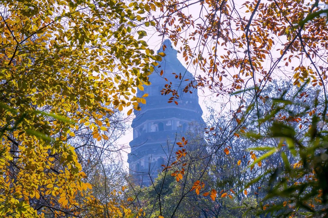 运河十景 | 斜而不倒，屹立千年，走进吴中第一名胜