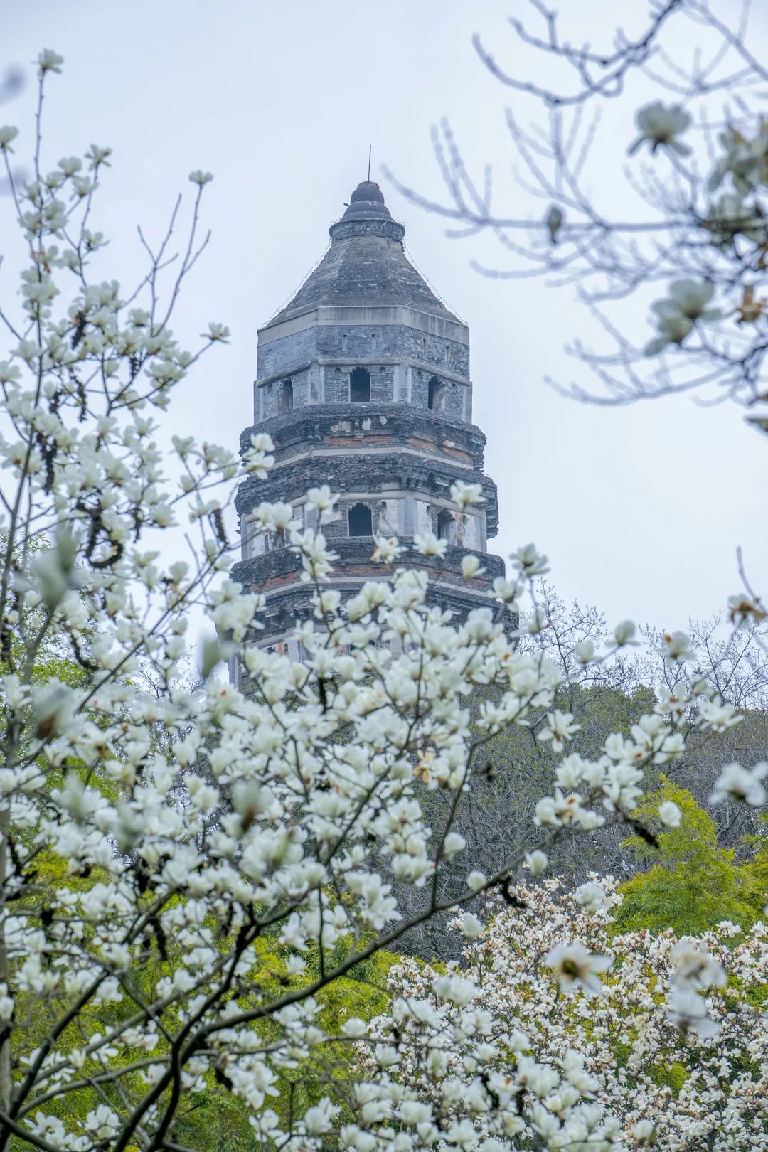 运河十景 | 斜而不倒，屹立千年，走进吴中第一名胜