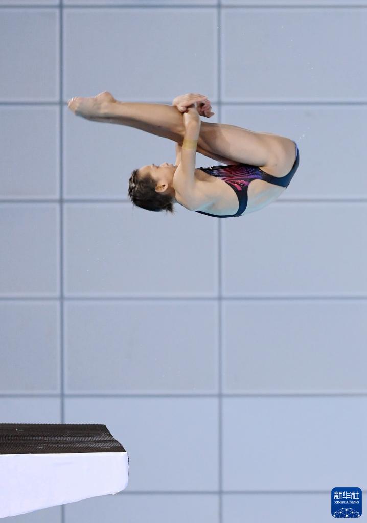 体育明星的故事奥运跳水冠军全红婵的成长故事(全红婵跳水训练故事)