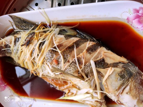 海鱸魚的做法,海鱸魚的做法 最正宗的做法