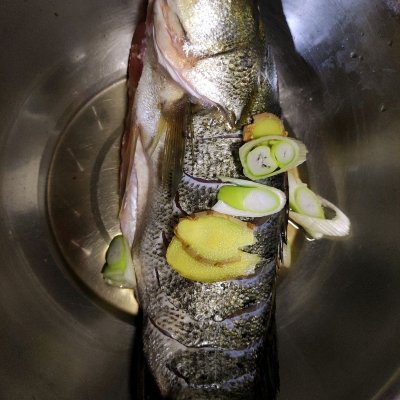 海鱸魚的做法,海鱸魚的做法 最正宗的做法