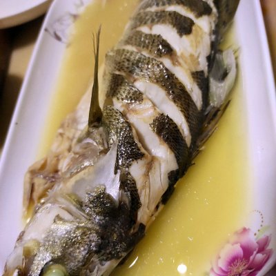 海鱸魚的做法,海鱸魚的做法 最正宗的做法