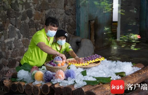 海南熊猫兄弟贡贡舜舜8岁啦！这些生日礼物够时尚
