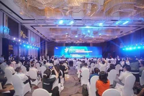 大学三年计划（国家三年计划启动）