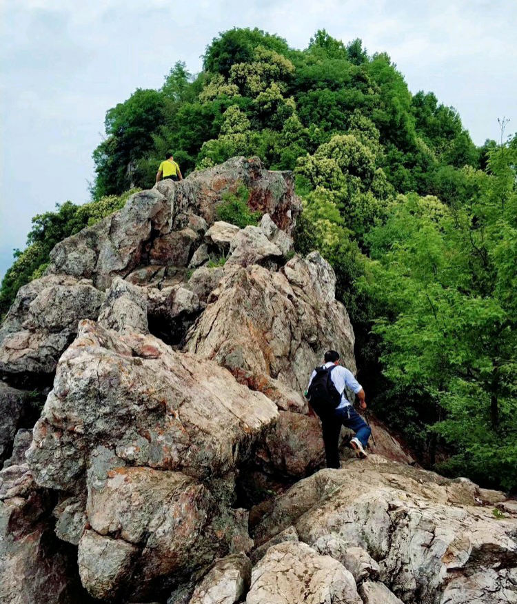 杨仙岭上忆杨仙