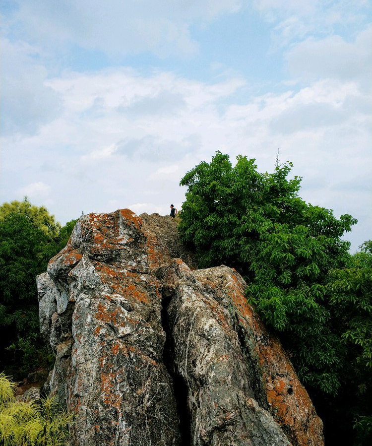 杨仙岭上忆杨仙