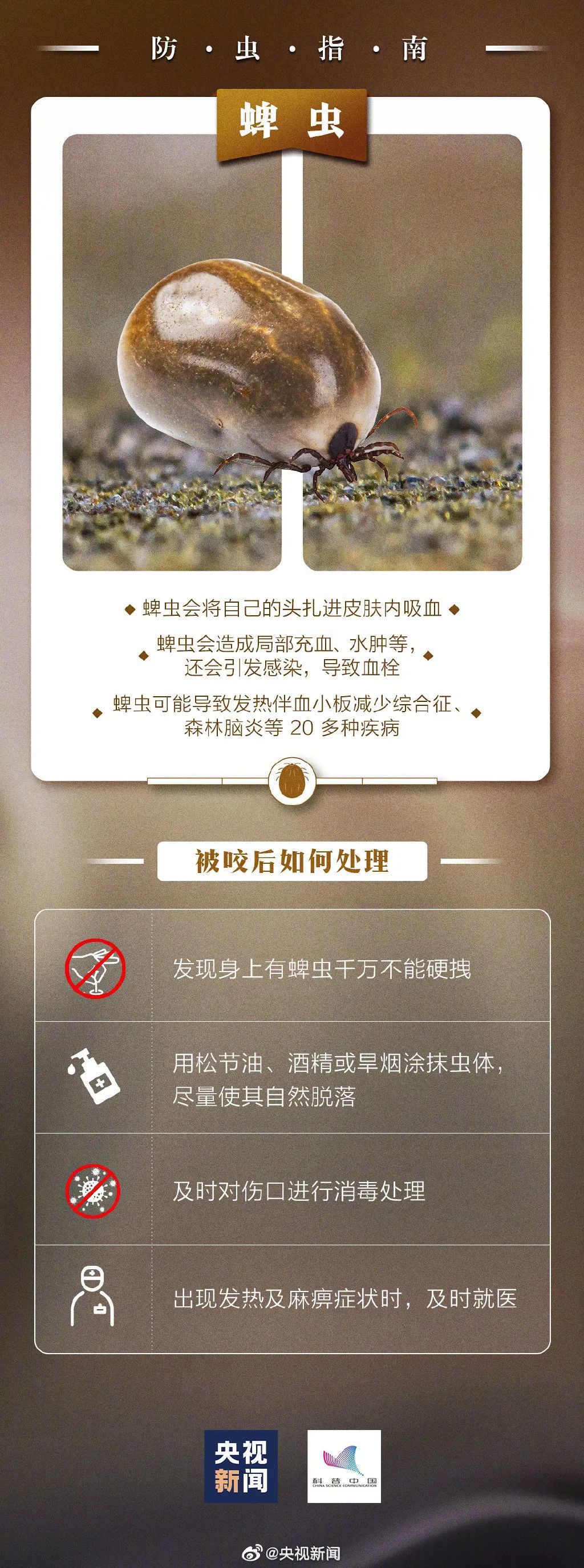 螨虫咬的包是啥样子图片(被咬后奇痒无比！当心这小虫，攻击性很猛！已经有人中招)