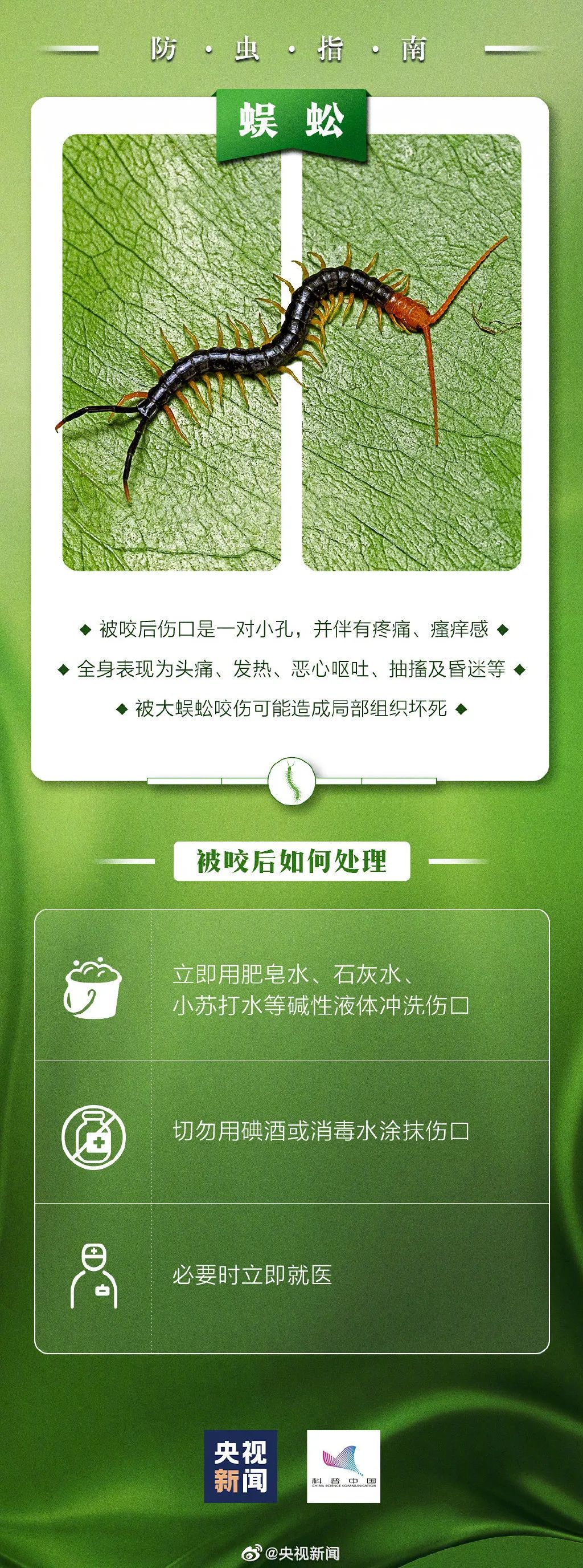 螨虫咬的包是啥样子图片(被咬后奇痒无比！当心这小虫，攻击性很猛！已经有人中招)