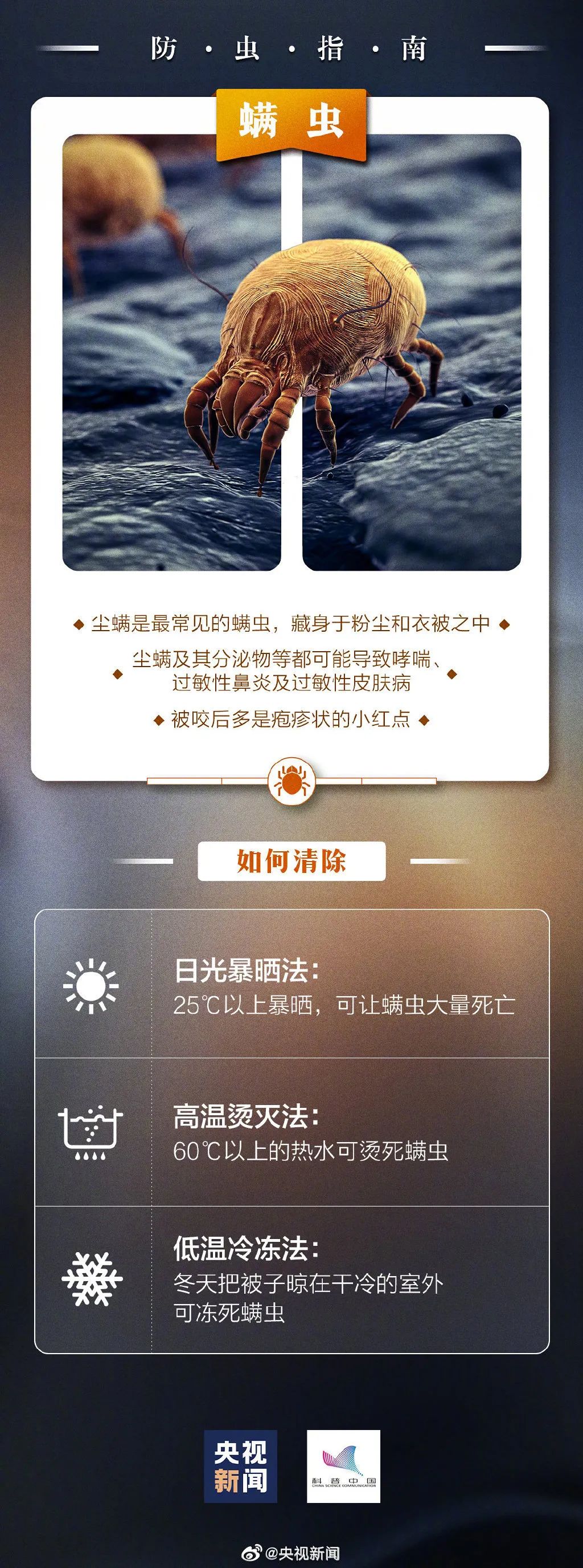 螨虫咬的包是啥样子图片(被咬后奇痒无比！当心这小虫，攻击性很猛！已经有人中招)