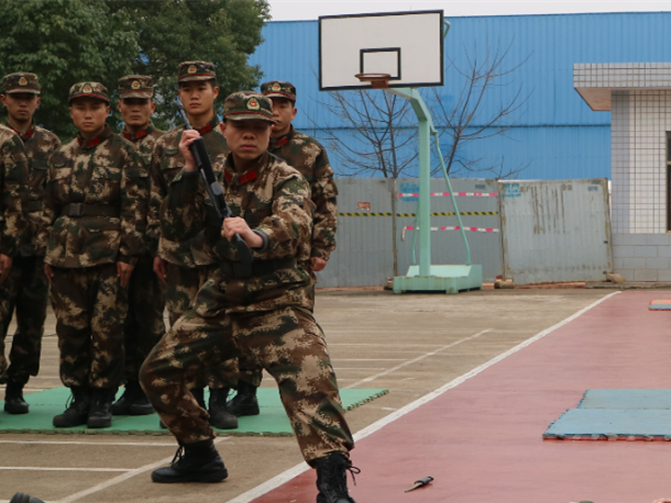 11张录取通知书，原来这就是军考人的“武功秘籍”