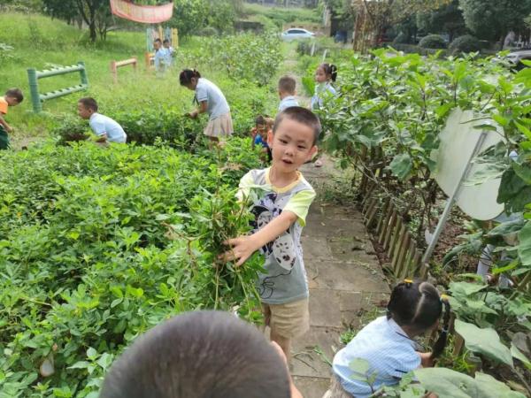 汇东杯篮球比赛哪里直播(开学啦！多图直击！四川各地各校开学现场……)