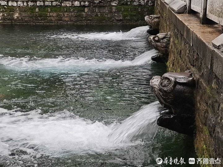 水位29.06米五年最高！济南黑虎泉“怒吼”喷涌而出