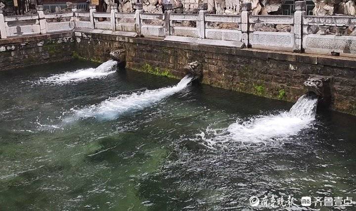 水位29.06米五年最高！济南黑虎泉“怒吼”喷涌而出