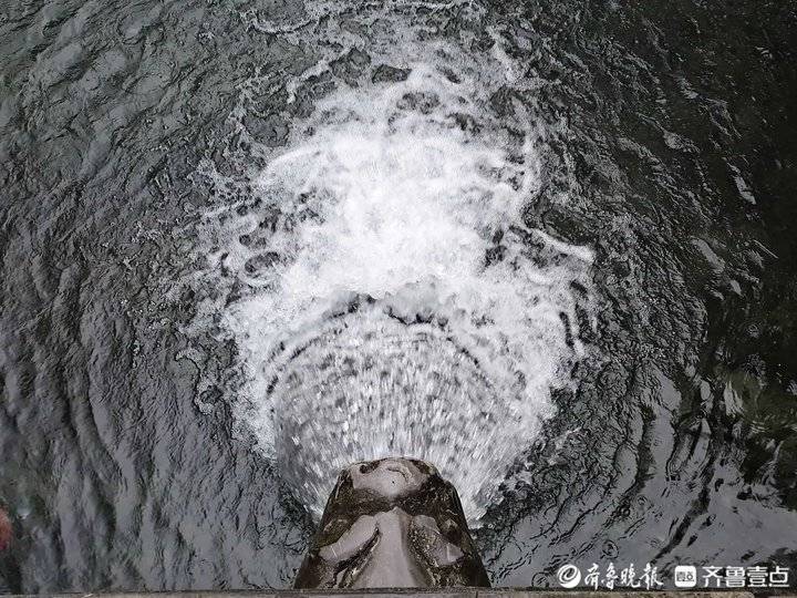 水位29.06米五年最高！济南黑虎泉“怒吼”喷涌而出