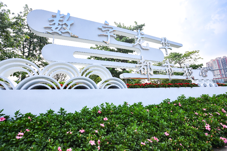 龙华：“数字龙华”蓝图正在逐步变成生动现实