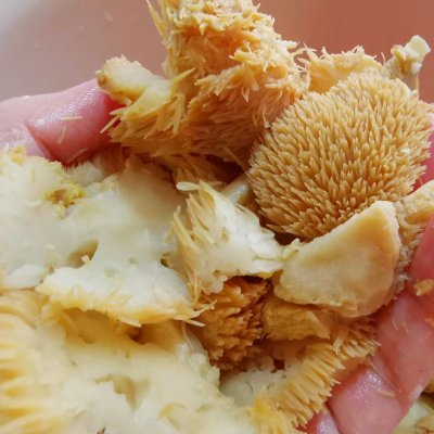 干猴头菇怎么吃，猴头菇炖排骨，鸡汤？