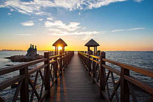 青未了|散文《养马岛》上