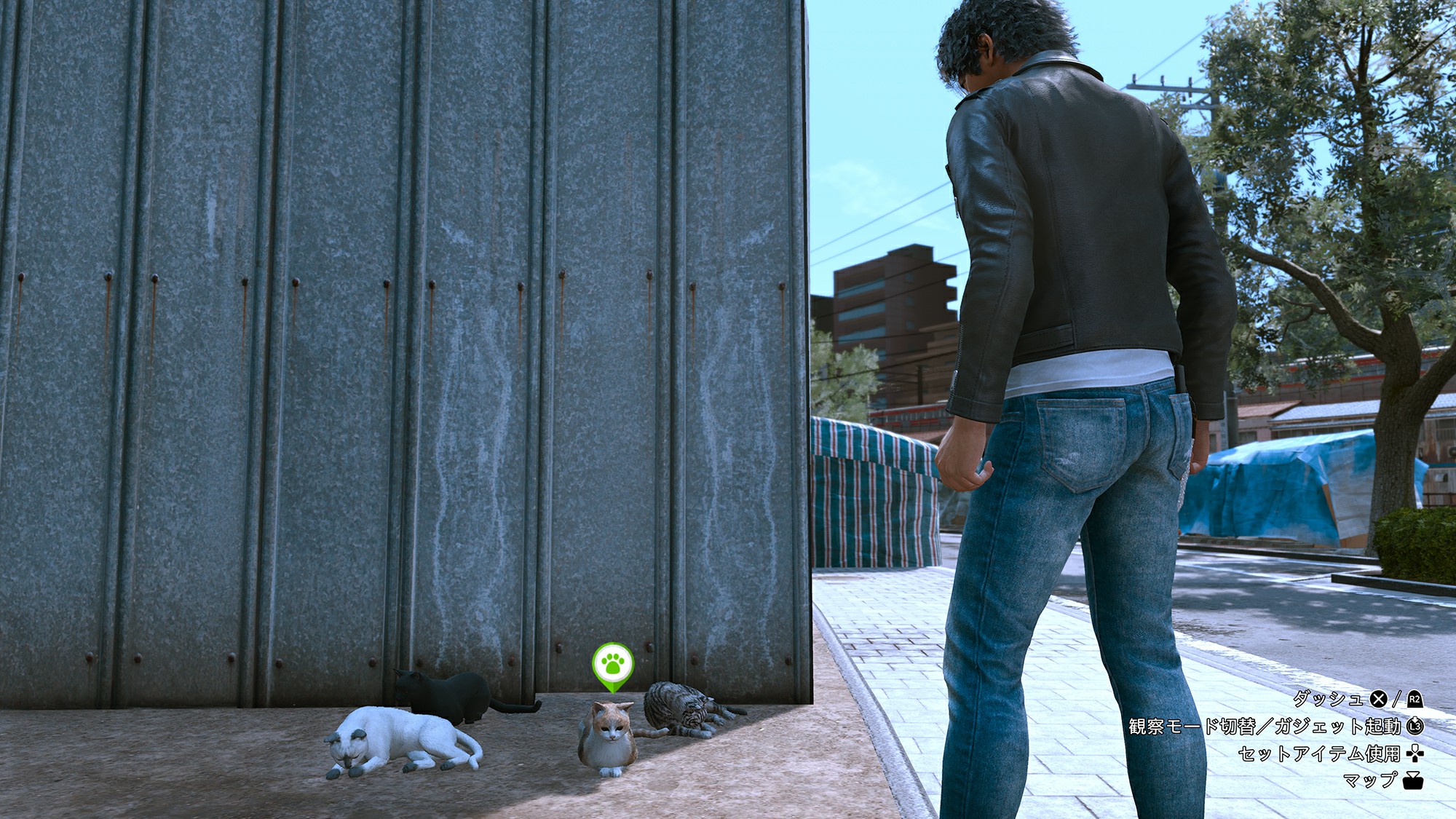 把9个社团的照片全调查了,从左往右社团的调查证据选择【糸仓古都子】