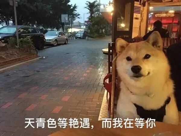 网上如何找小姐,