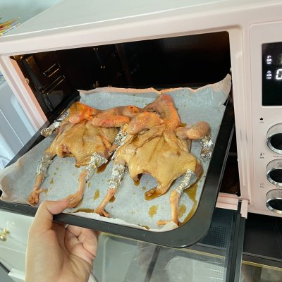 乳鴿的做法,乳鴿的做法大全家常