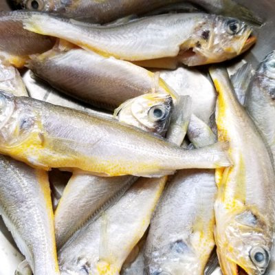 炸黃花魚(yú),炸黃花魚(yú)怎么做酥脆好吃