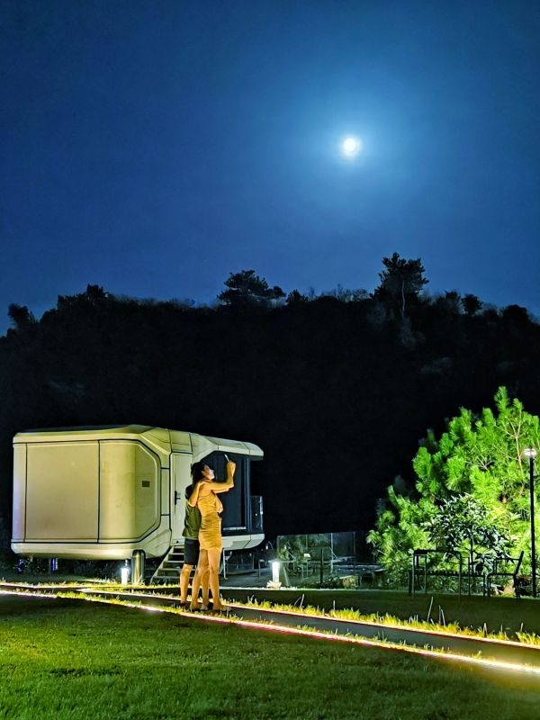 武汉@你，这里有张国庆打卡大全请查收