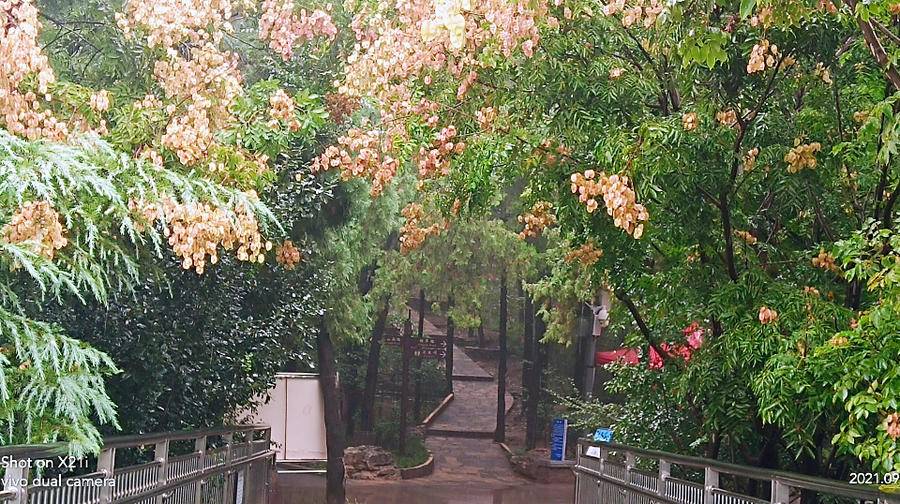 雨中山里走一走，看风景，洗尽风尘慰余生