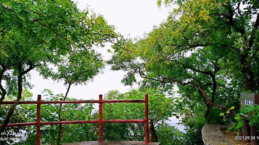 雨中山里走一走，看风景，洗尽风尘慰余生