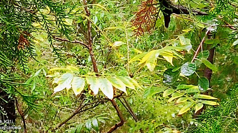 雨中山里走一走，看风景，洗尽风尘慰余生