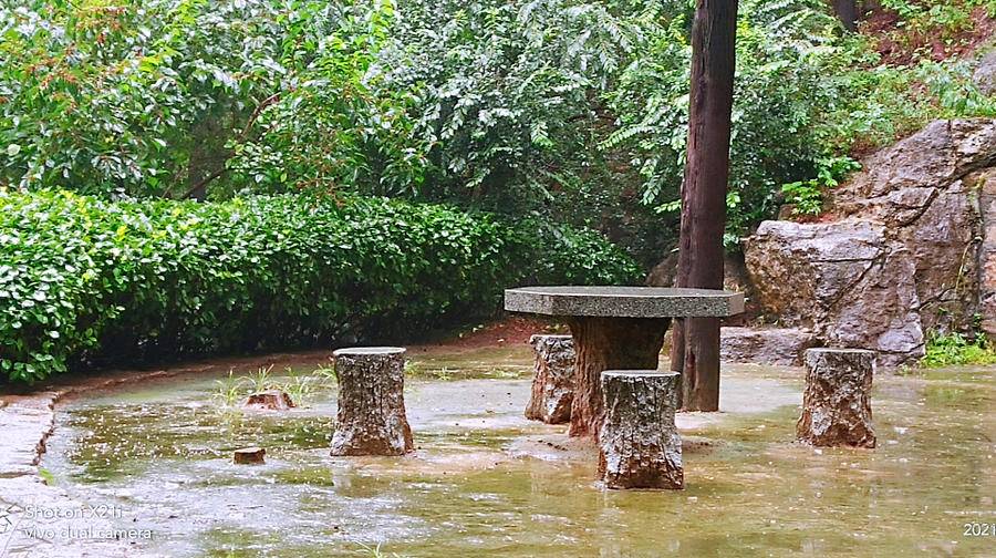 雨中山里走一走，看风景，洗尽风尘慰余生