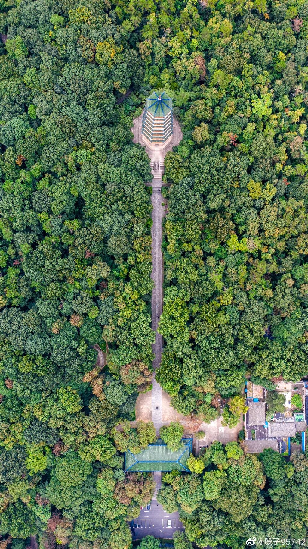 秋到紫金山丨感受浪漫 秋天等你来