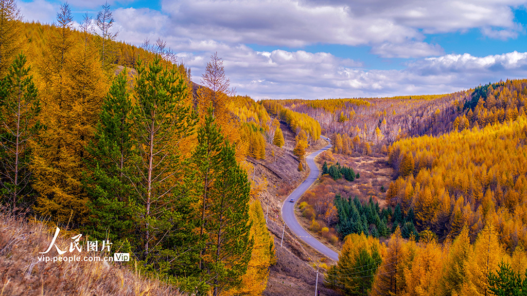 塞罕坝在哪里塞罕坝在哪里买票