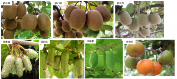 西安市市级机关公开遴选65名公务员 10月11日至15日现场报名 |小青小美说新闻