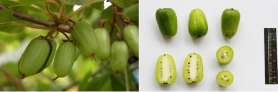 西安市市级机关公开遴选65名公务员 10月11日至15日现场报名 |小青小美说新闻