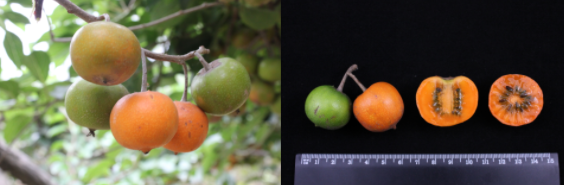 西安市市级机关公开遴选65名公务员 10月11日至15日现场报名 |小青小美说新闻