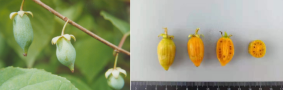 西安市市级机关公开遴选65名公务员 10月11日至15日现场报名 |小青小美说新闻