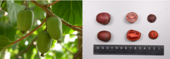 西安市市级机关公开遴选65名公务员 10月11日至15日现场报名 |小青小美说新闻